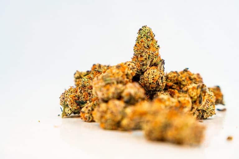 Le CBN, ou cannabinol, est un cannabinoïde principalement stocké dans les fleurs de chanvre