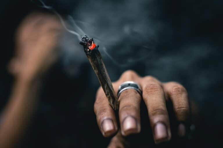 thcp et thcv alternatives au hhc et thc min