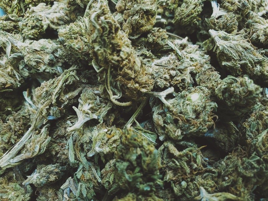 définition cannabinoïdes du cannabis min