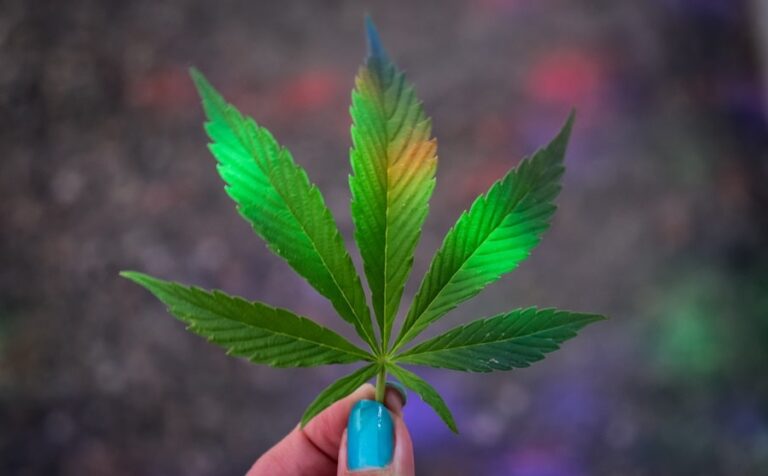 Qu'est-ce que le THCjd ? L'un des cannabinoïdes les plus rares